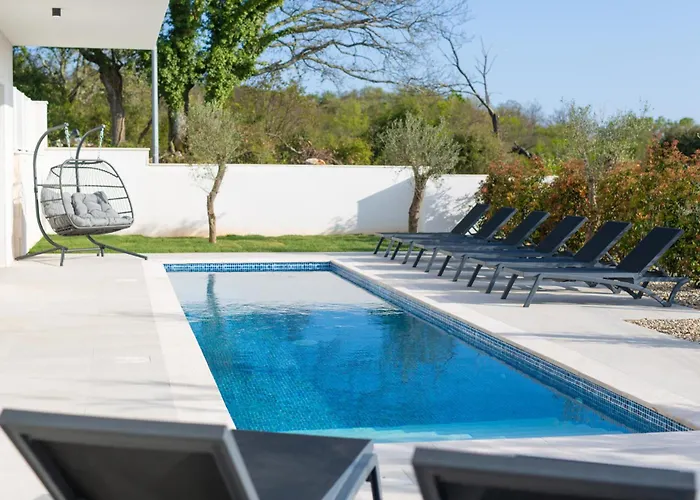 Sensei Linardici