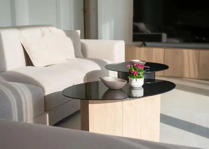 Sensei فيلة Linardići