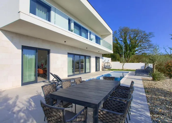 Sensei فيلة Linardići